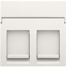 [NIK10165200] CENTRAALPLAAT DATA 2X RJ, WHITE